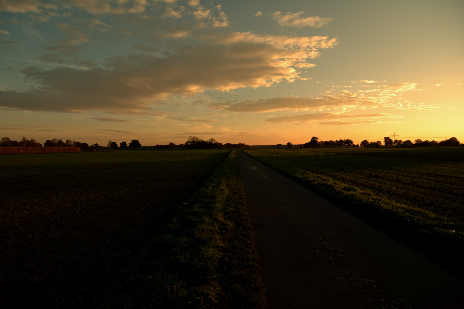 Ackerweg im Herbstlicht...