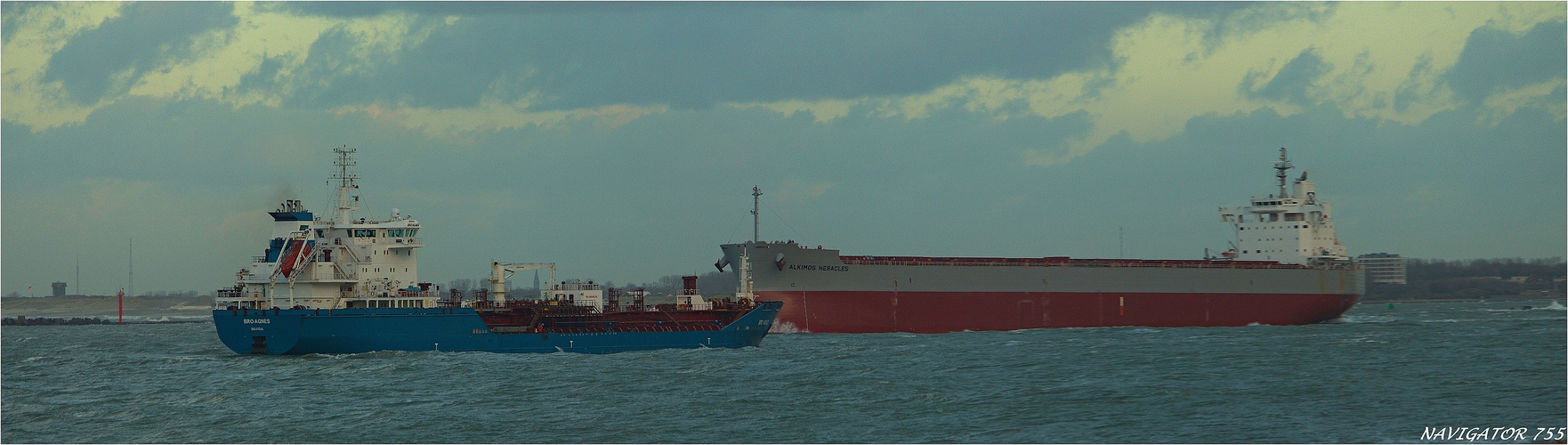 ACKIMOS HERACLES / Bulk Carrier / Rotterdam