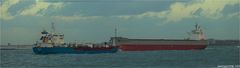 ACKIMOS HERACLES / Bulk Carrier / Rotterdam