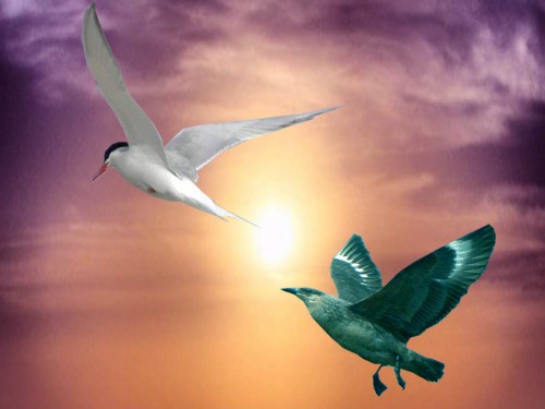 ACOMPÁÑAME EN MIS SUEÑOS...