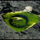 Acores 2014 - Auge der Lava