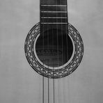 acoustic guitar 