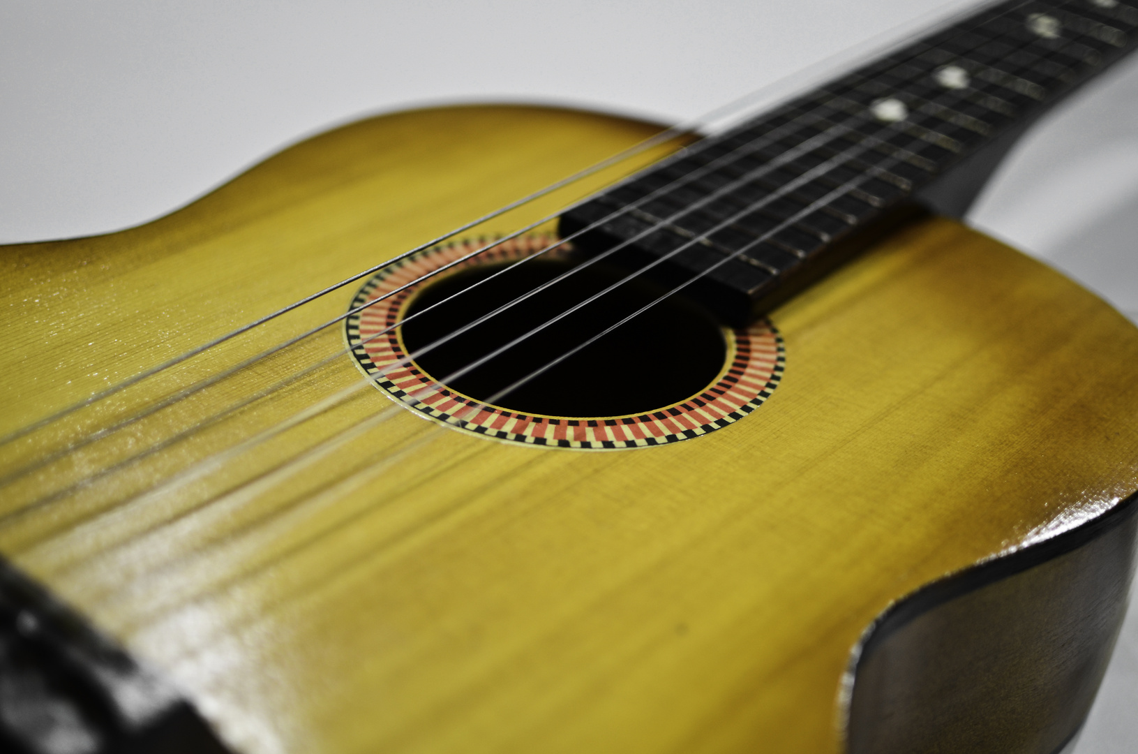 acoustic guitar