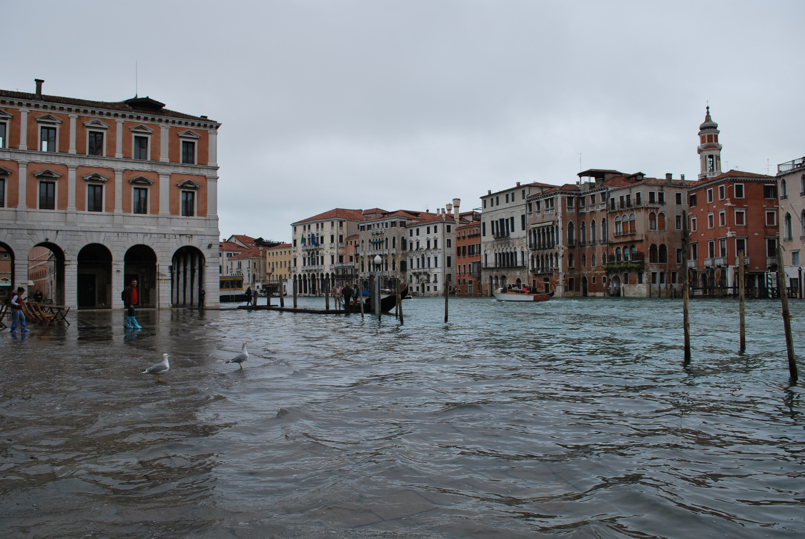 Acqua alta a Venezia