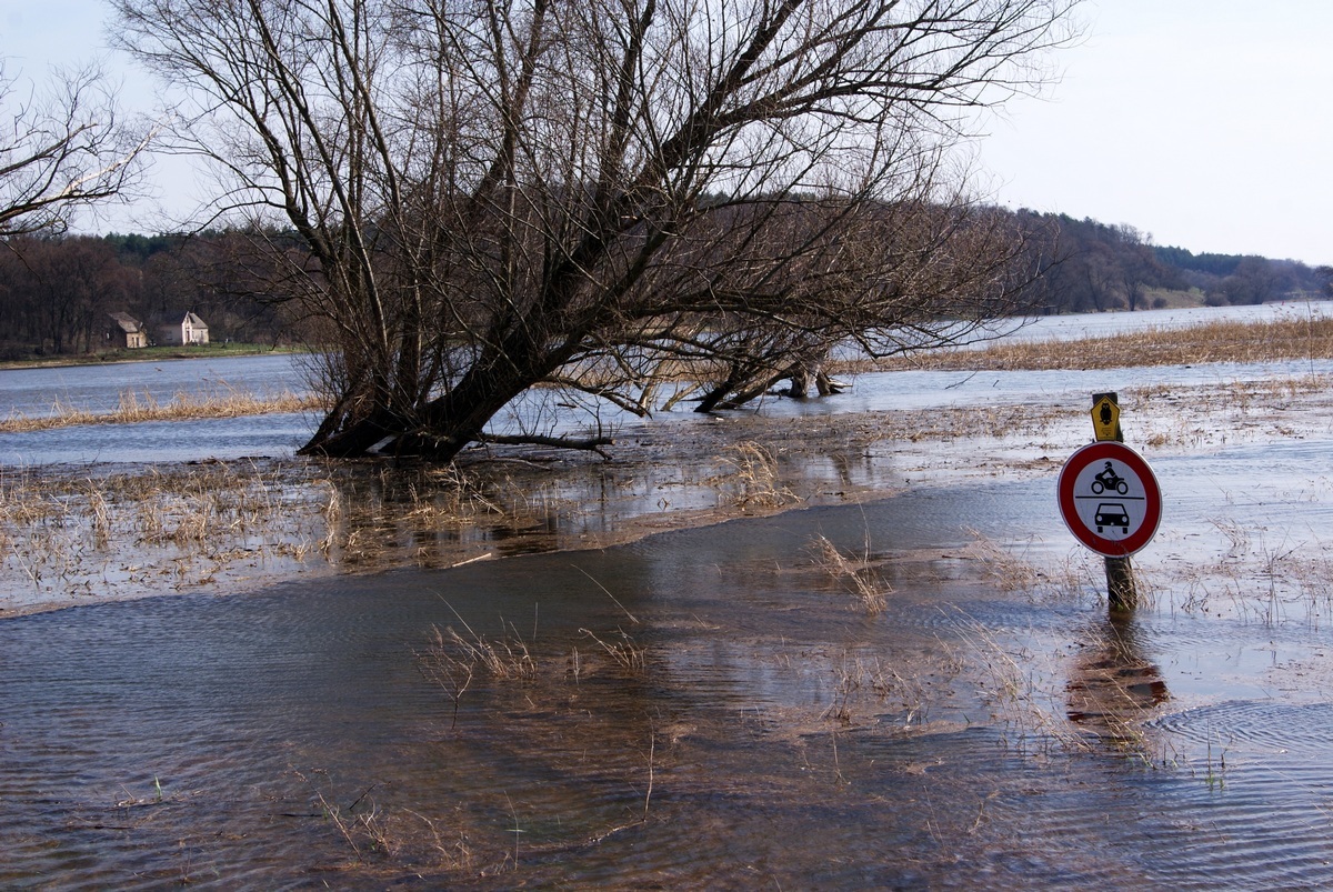 Acqua alta