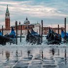 Acqua Alta, Venezia