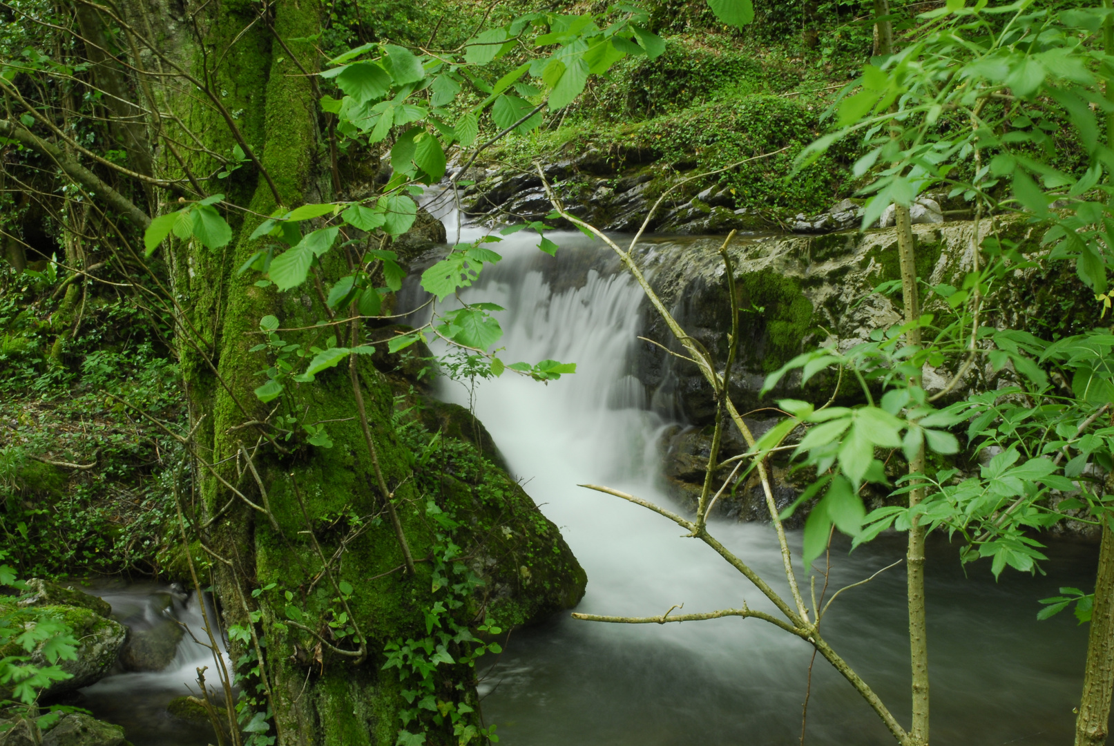 acqua bloccata