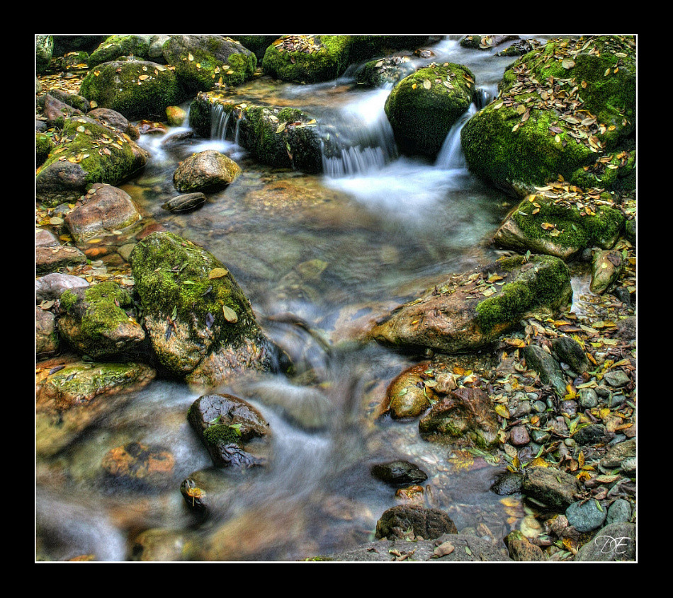 Acqua che scorre.......autunno malinconico.....