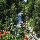 Acqua chiara nel bosco