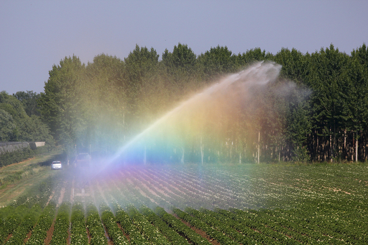 Acqua colorata