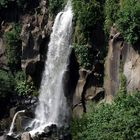 Acqua di Nepi (VT)