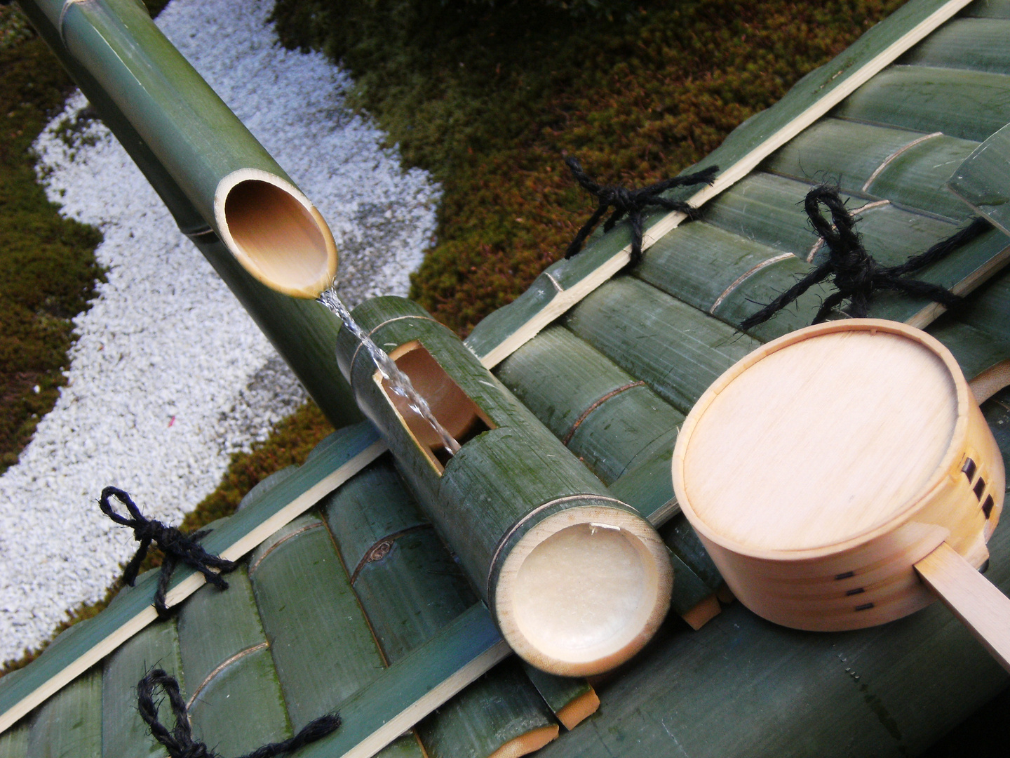 Acqua e bamboo