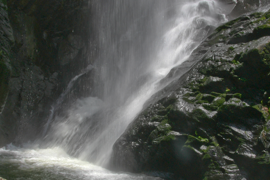 Acqua e muschio