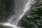 Acqua e muschio di Lorenza Mazzucco 