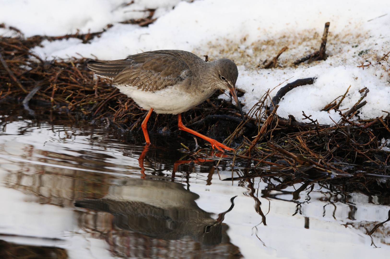 acqua e neve