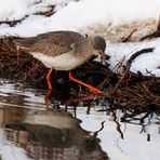 acqua e neve