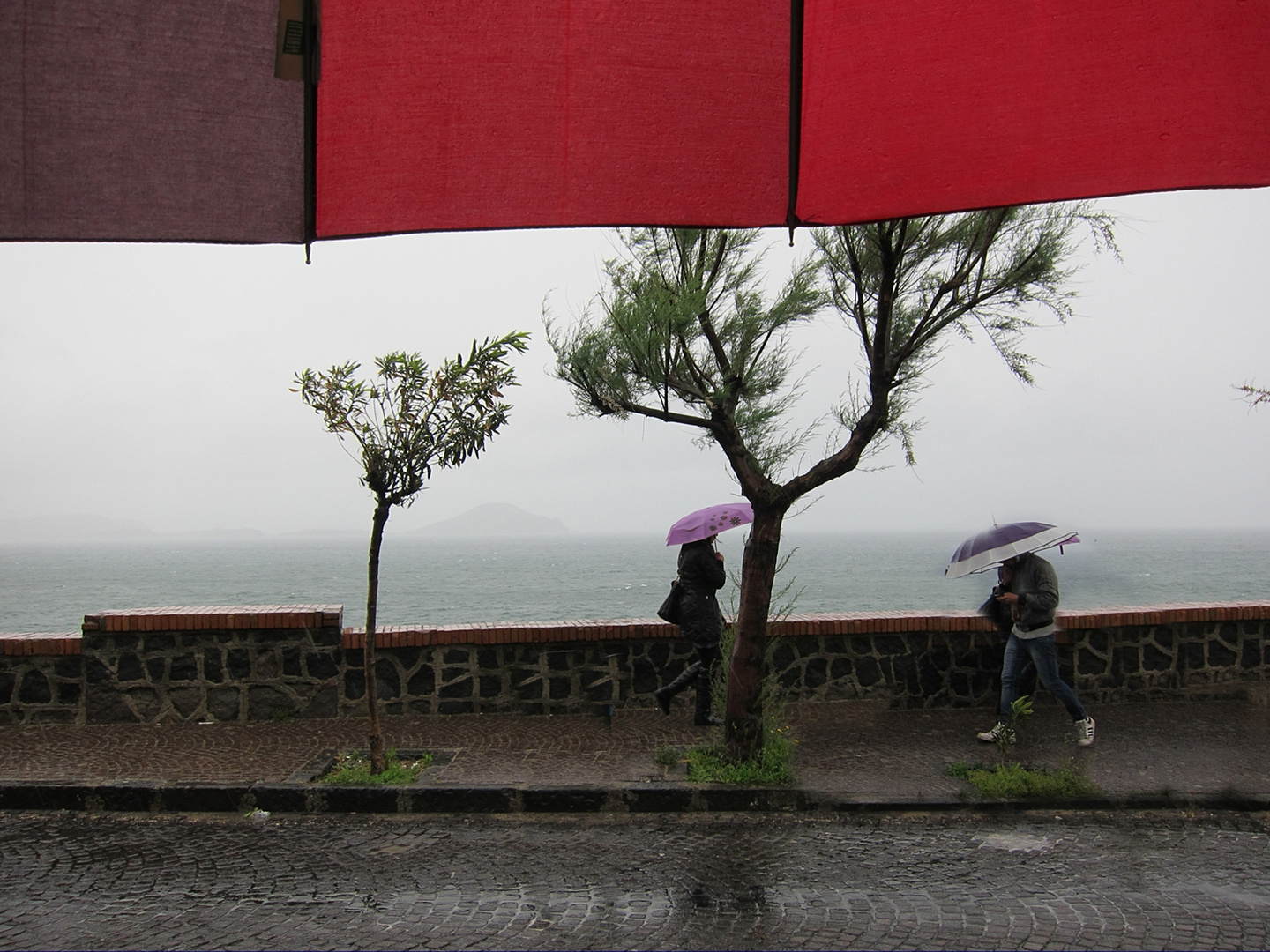 Acqua e Viento