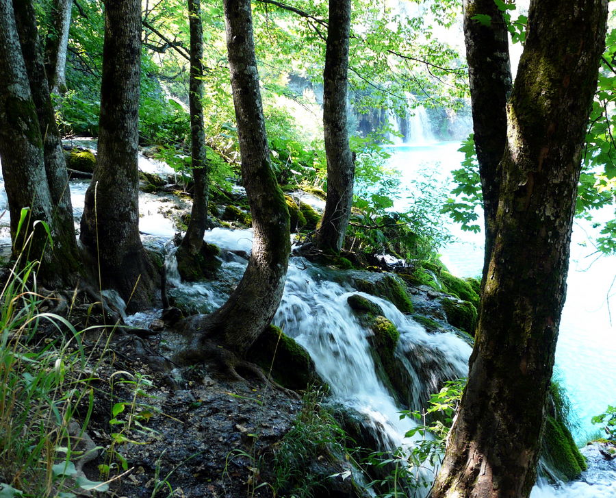 Acqua e vita