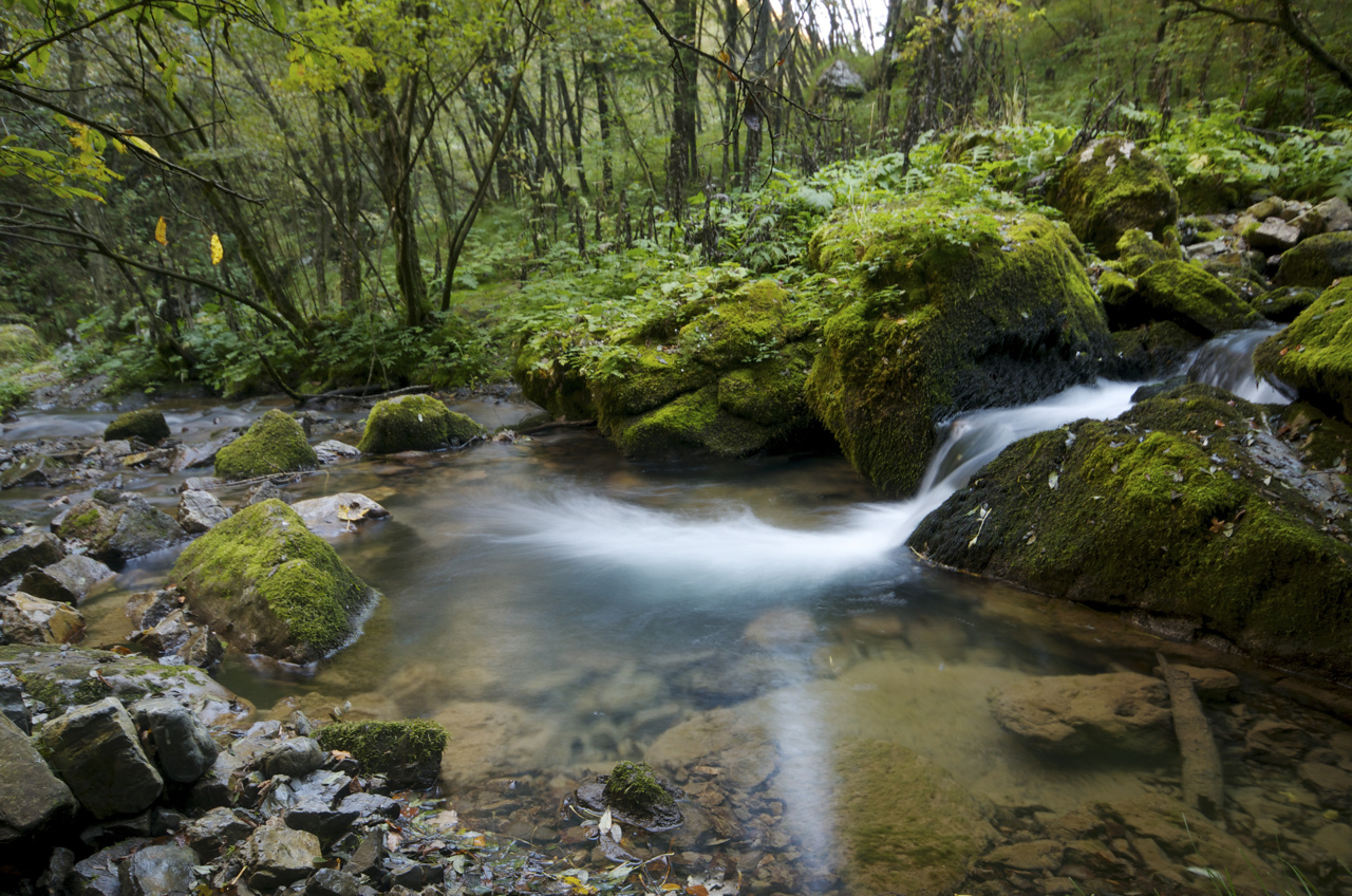 acqua - effetto scia