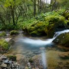 acqua - effetto scia