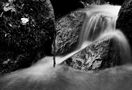 acqua di GiorgioL. 