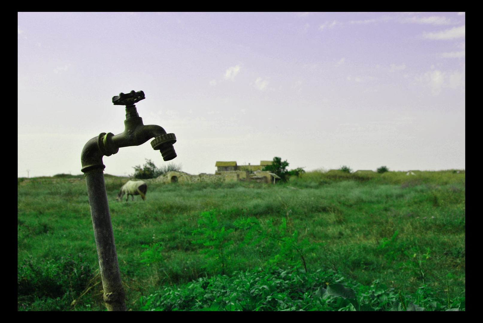 acqua fonte di vita