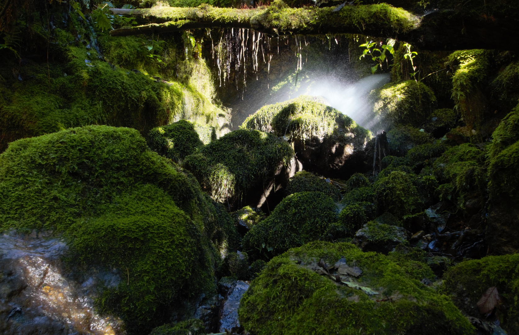 acqua ...fonte di vita