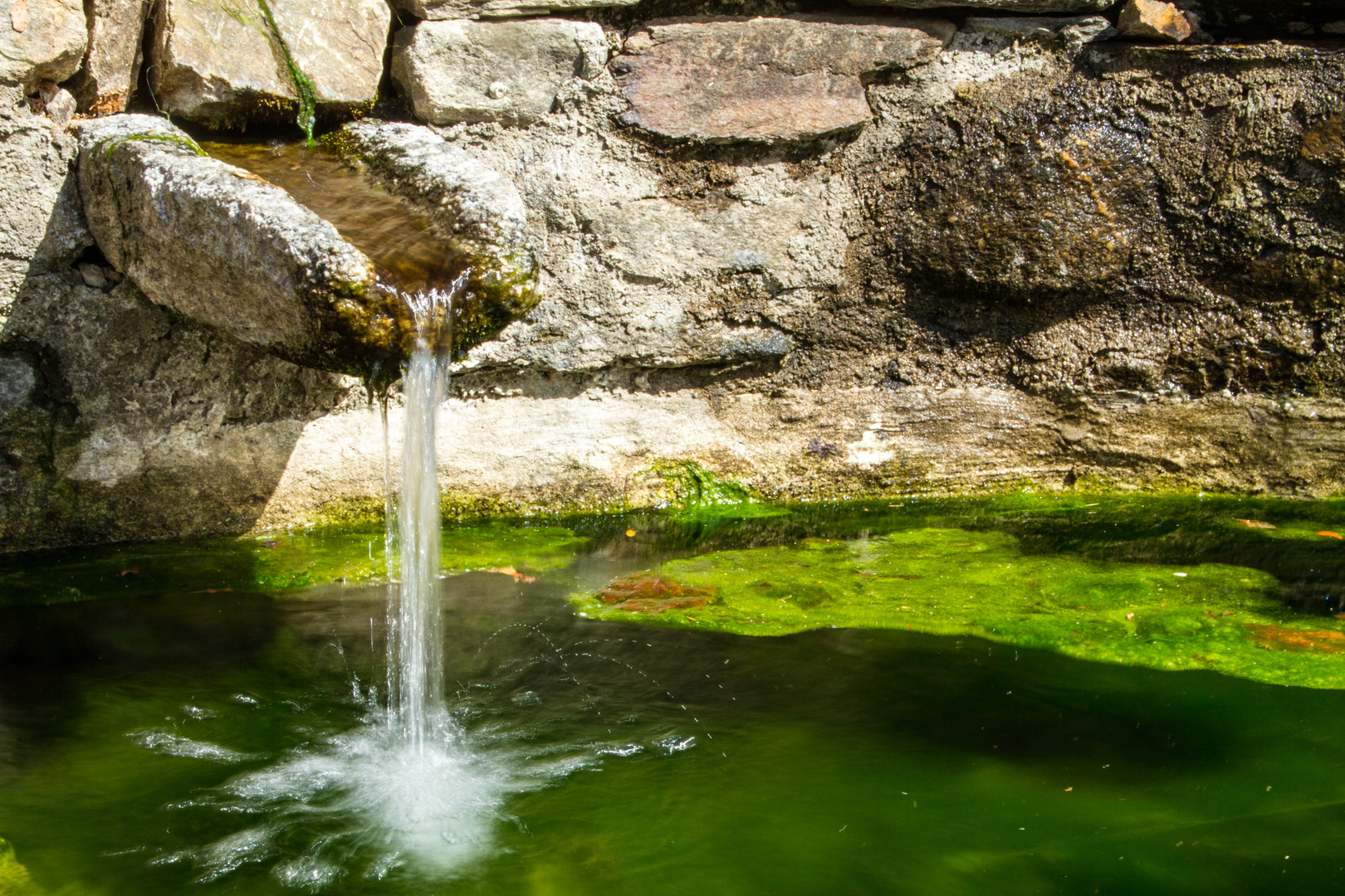 acqua frizzante