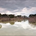 Acqua in cielo e in terra