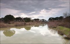 Acqua in cielo e in terra