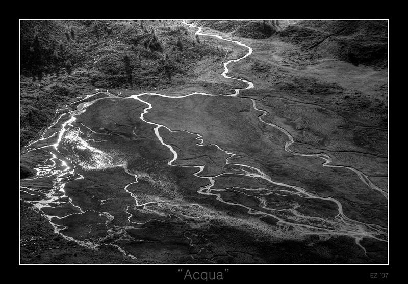 Acqua: La linfa della vita