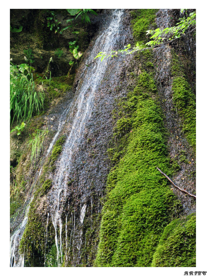 acqua limpida sulla pietra