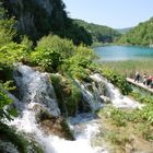 acqua natura e passerella