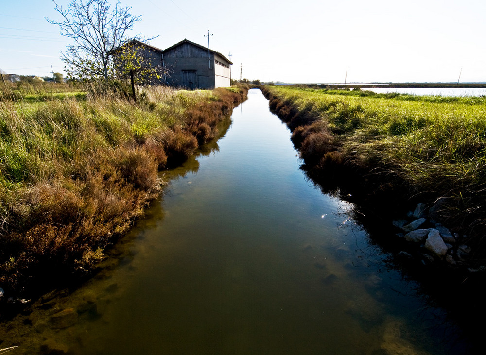 Acqua non ferma