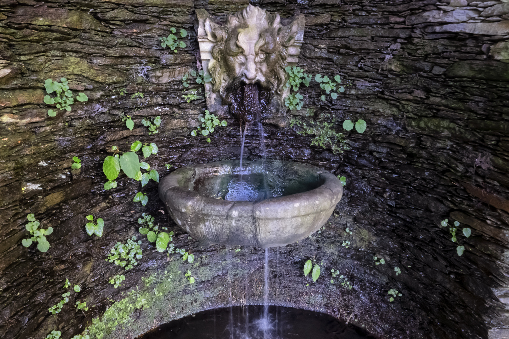 Acqua potabile di Villa Taranto