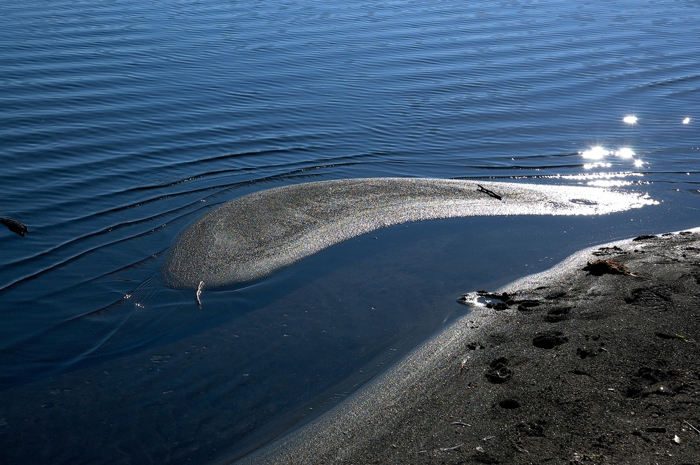 Acqua, riflessi