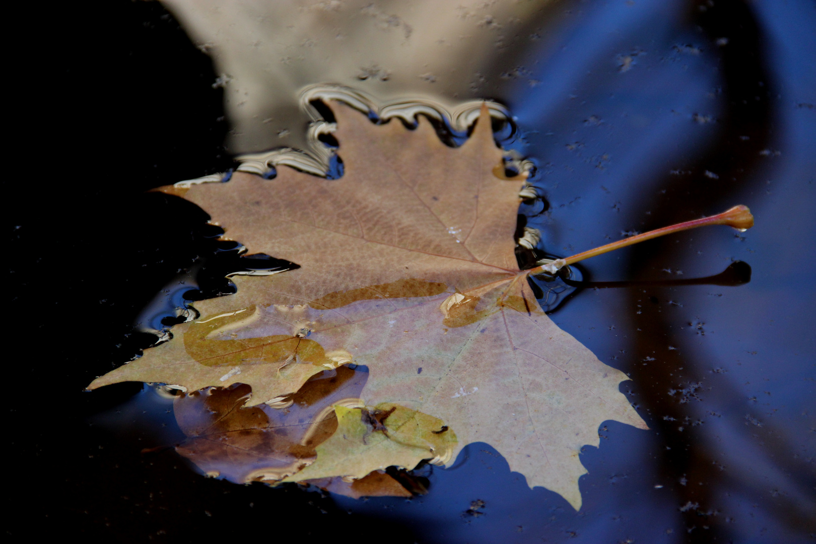 Acqua & Riflessi