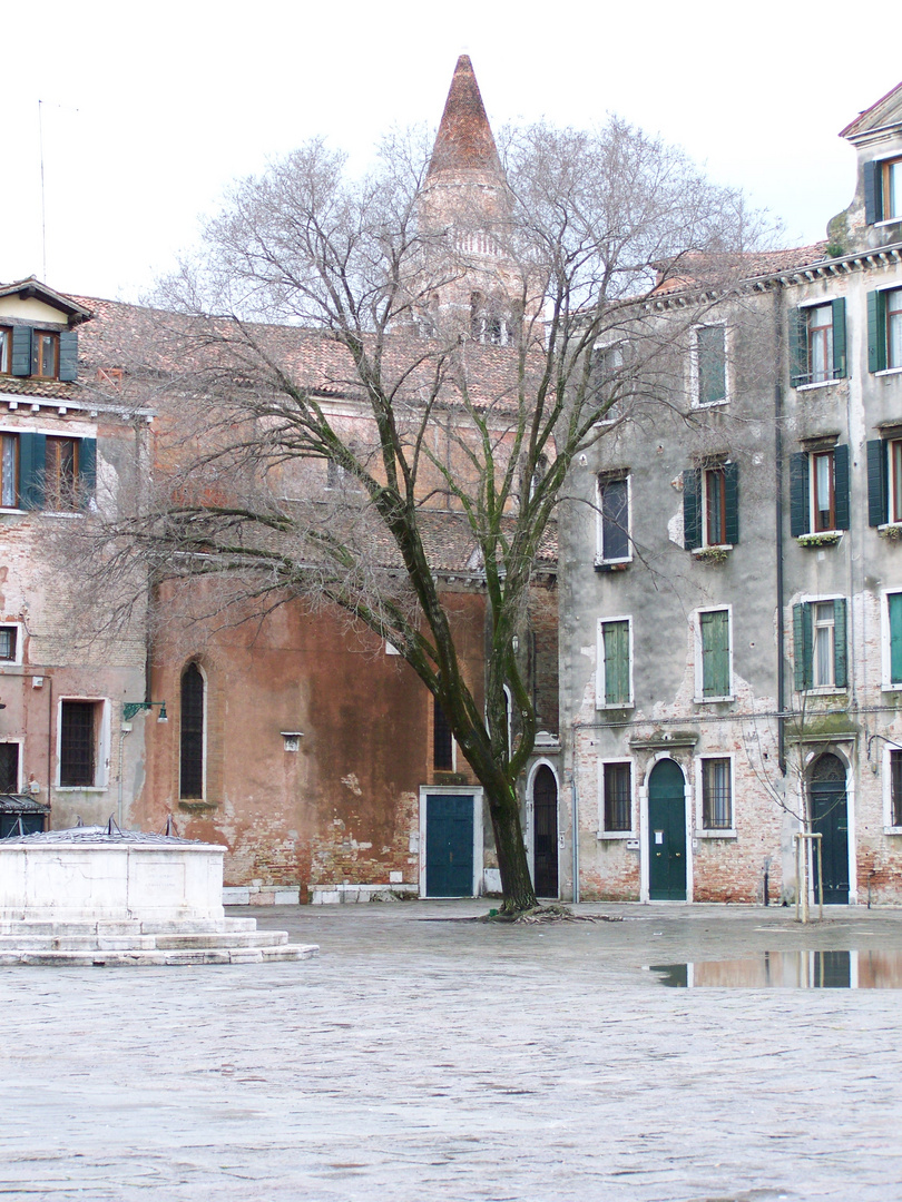 acqua&alberi