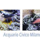 Acquario Civico Milano