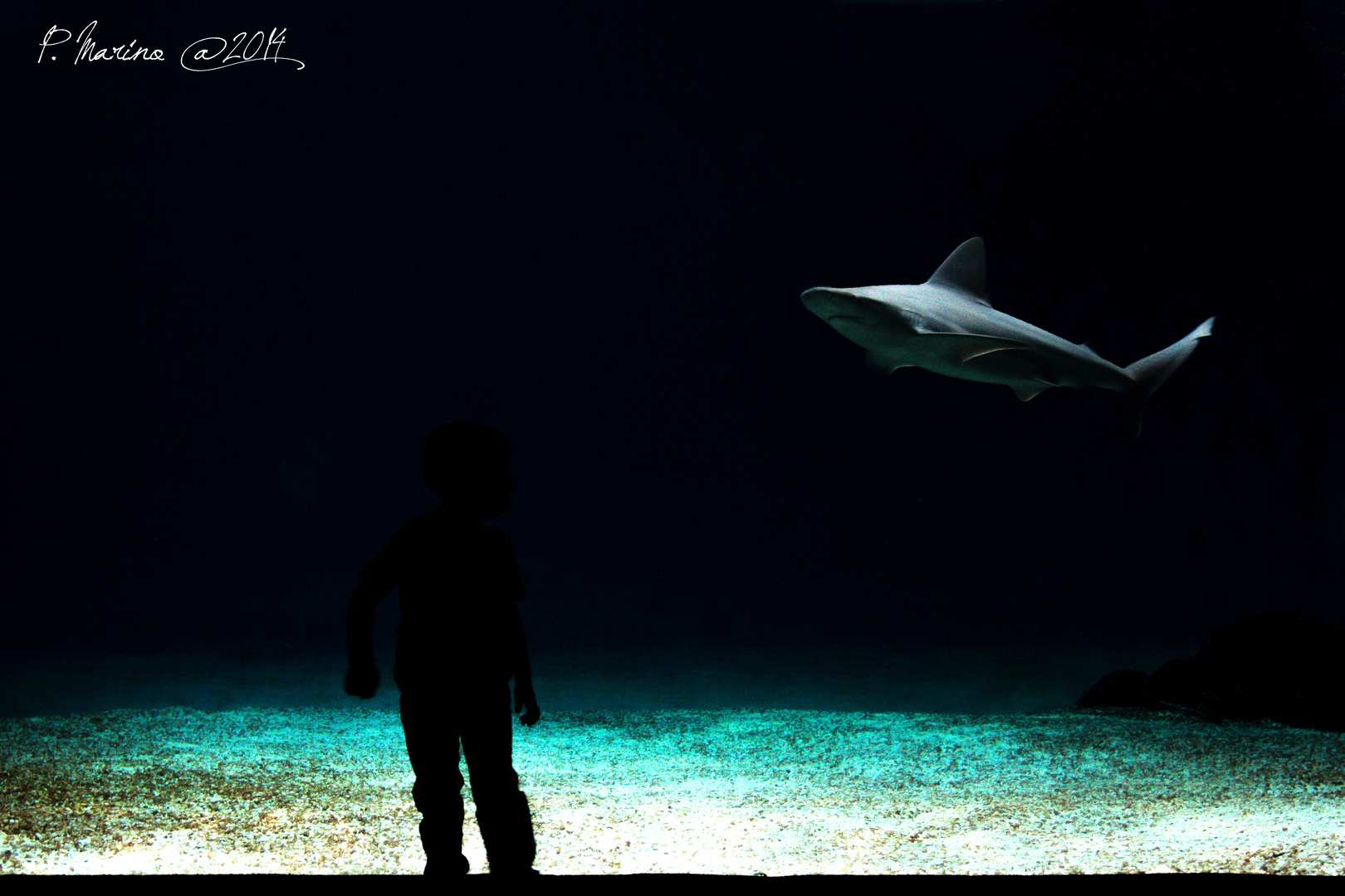 Acquario di Genova