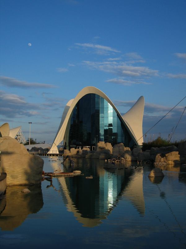 Acquario Valencia (Valencia - Spagna)