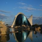 Acquario Valencia (Valencia - Spagna)