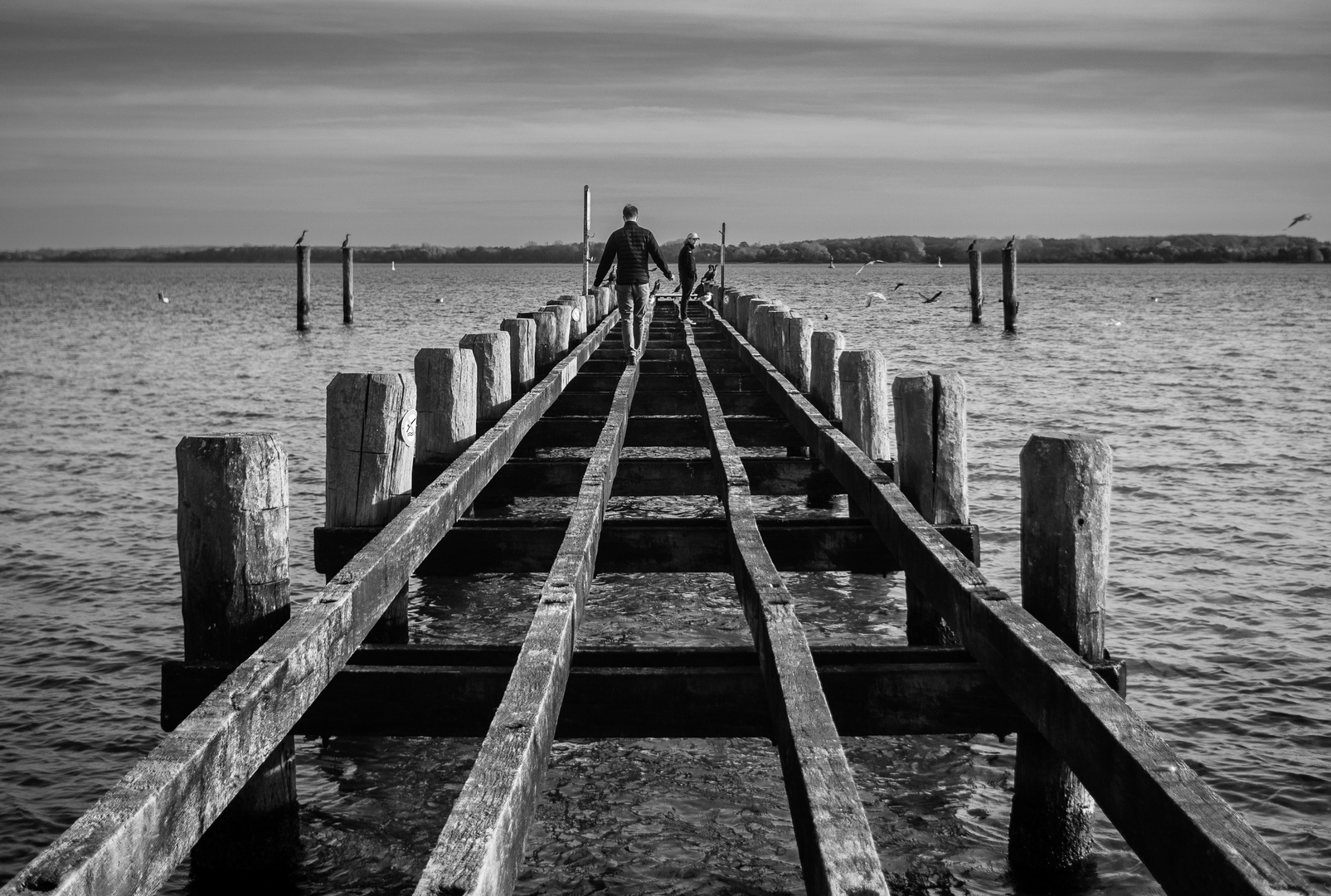 Acrobatics on the pier 