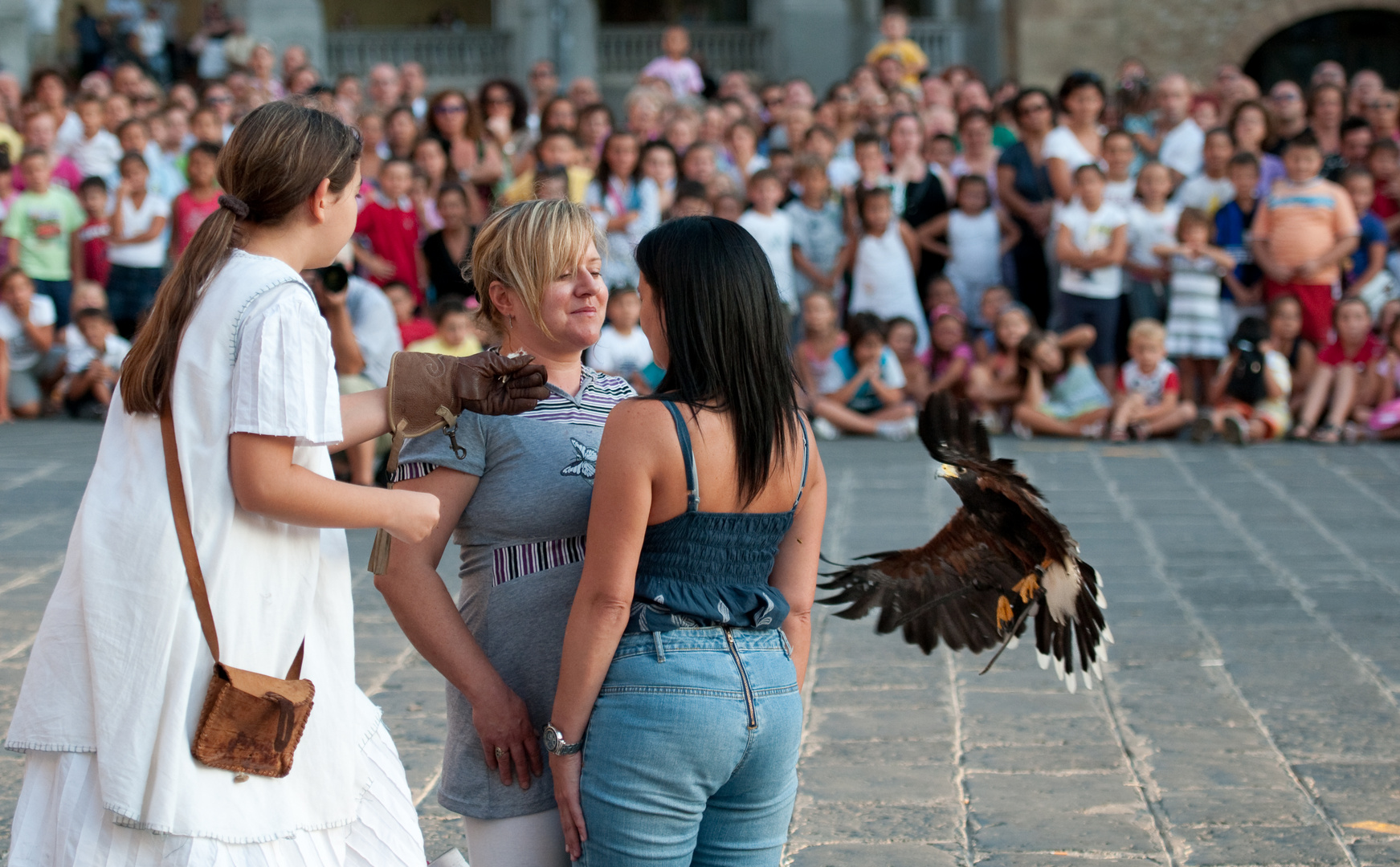 acrobazie del falco e' del suo falconiere 01