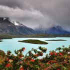 Across Lago Pehoe to the Cuernos del Paine