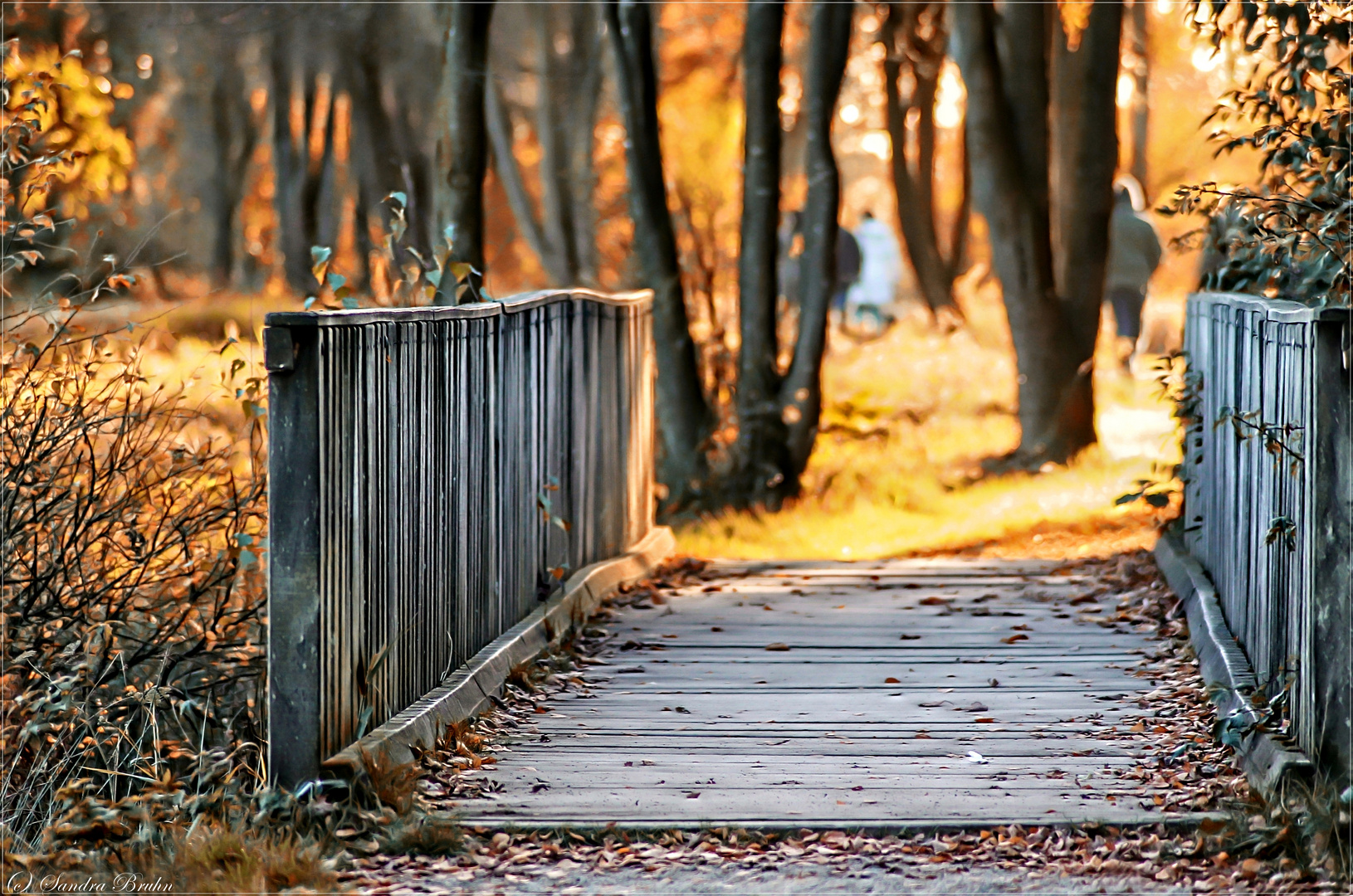 °across the bridge°