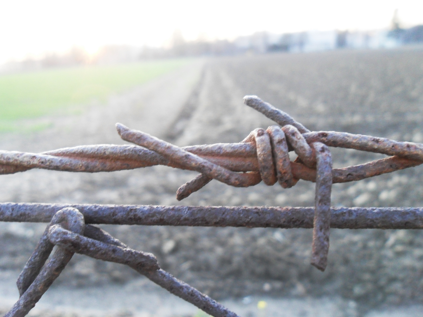 across the fence