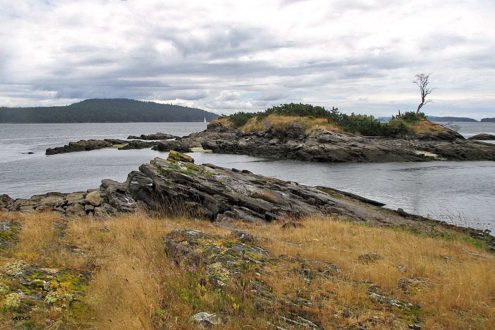 Across the Rocky Shores