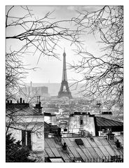 across the roofs