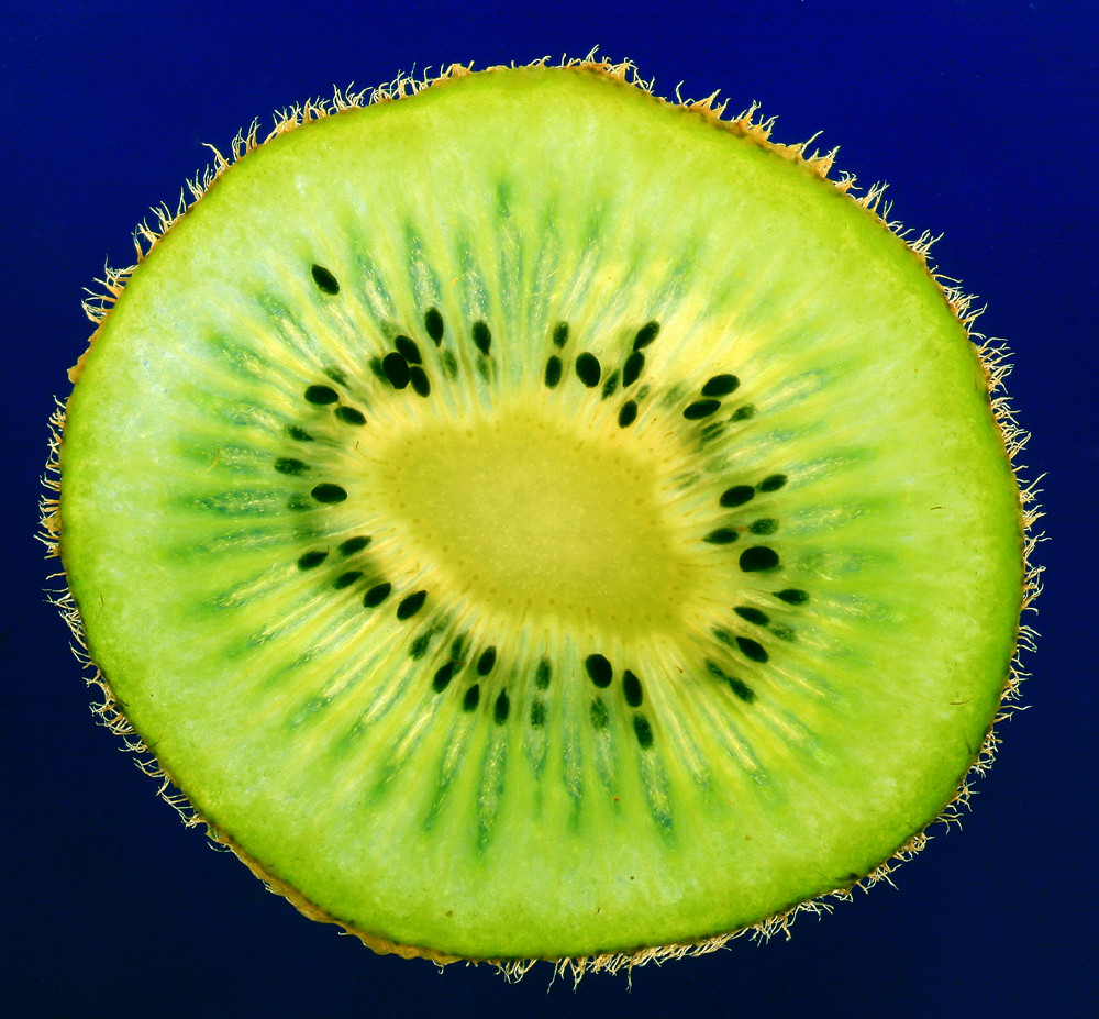Actinidia deliciosa Foto & Bild still life, food, gegenstände Bilder